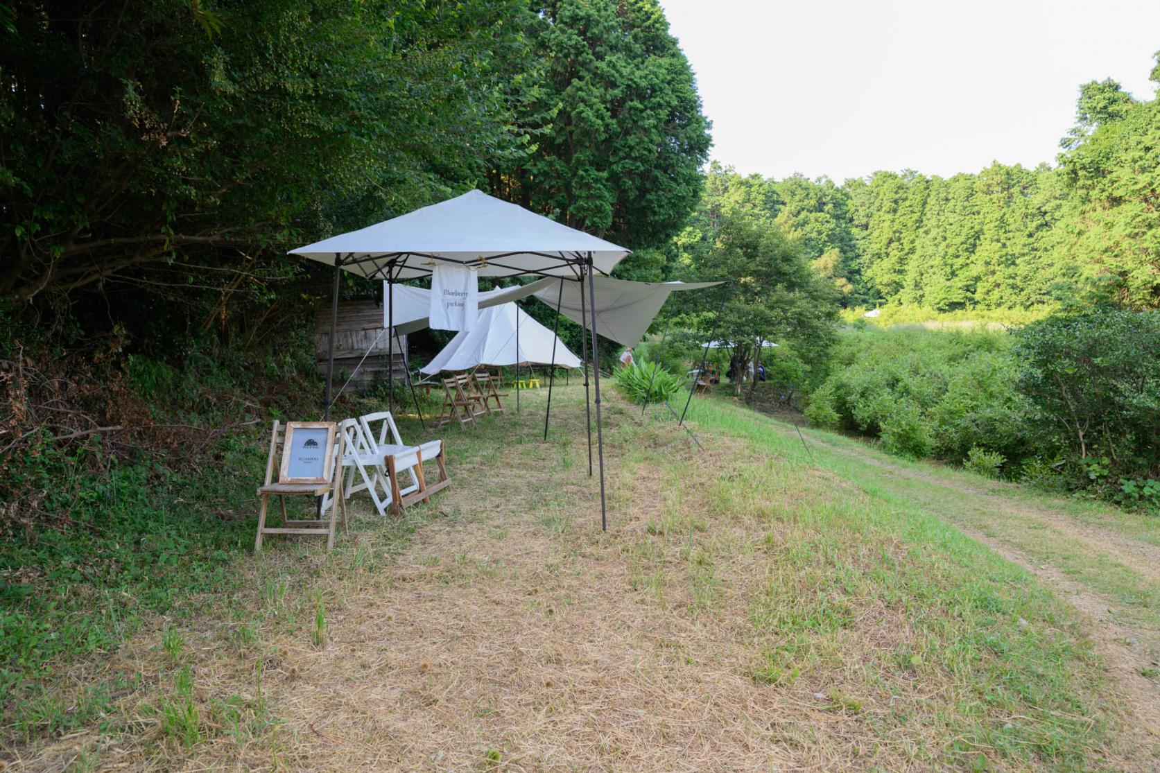 事前準備のポイント-2