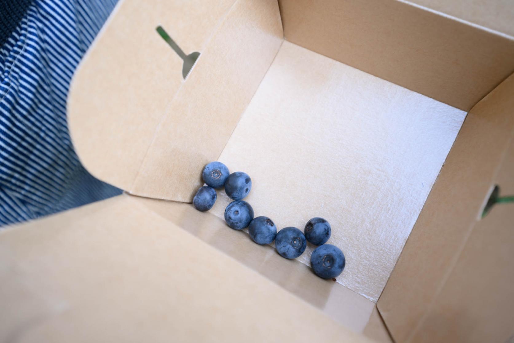 品種ごとに味が違う！これが意外な発見でした-1