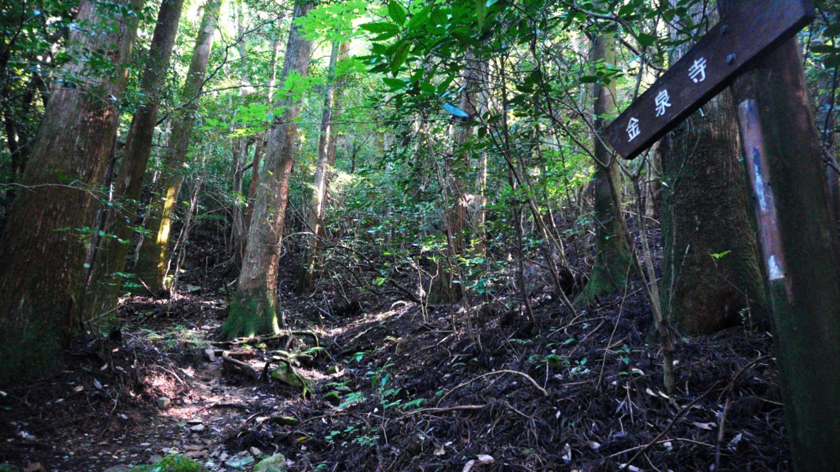 コース外れに注意！-2