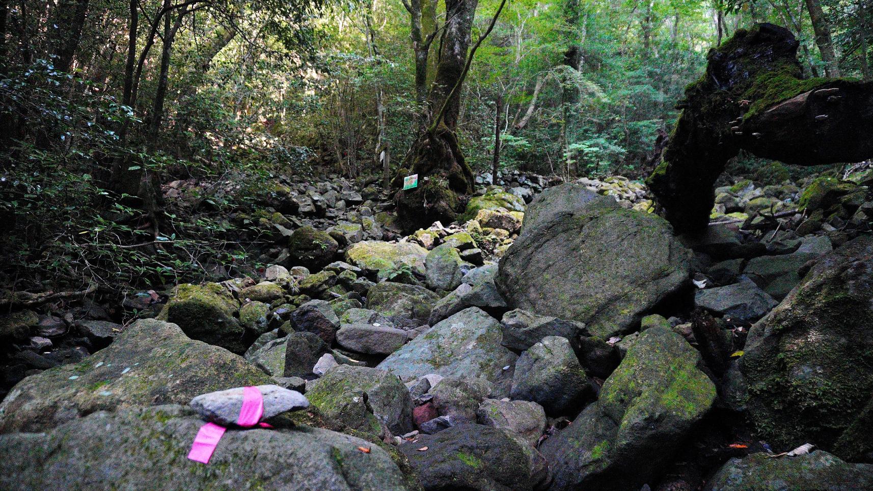 コース外れに注意！-0