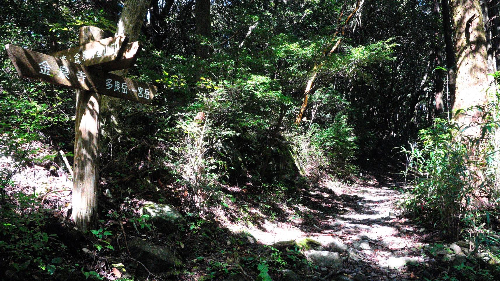 金泉寺から多良岳頂上の太良獄神社上宮へ-1