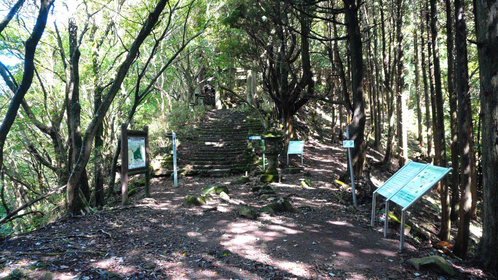 鳥居をくぐると修行の始まり！？-1