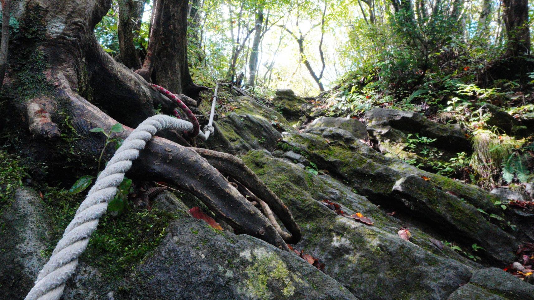 多良岳山頂を超えて、もう一つのピーク、前岳へ-0