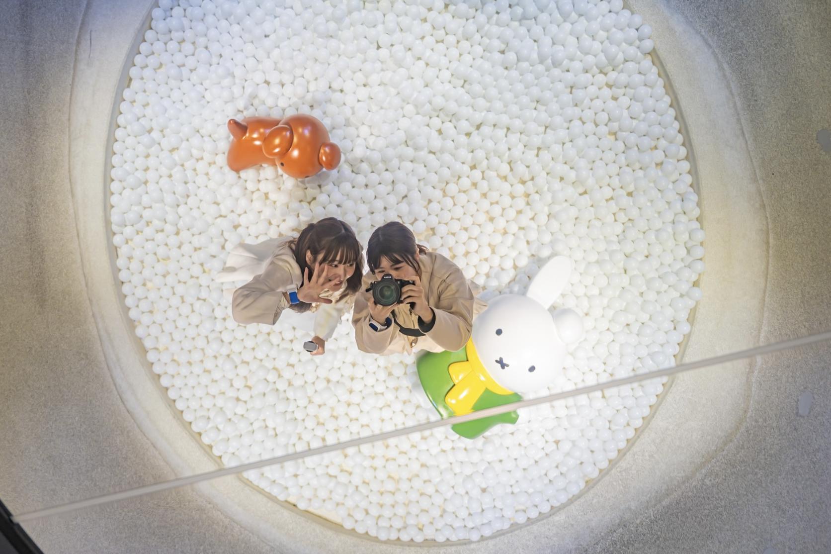 ２. 【最新】夢の世界へ没入！『ミッフィーのドリームストーリーブック』-2