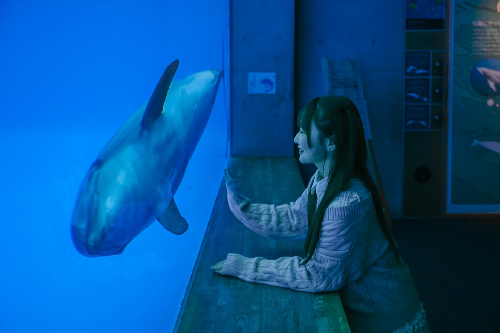 14:00 ｜ 九十九島水族館海きらら-2