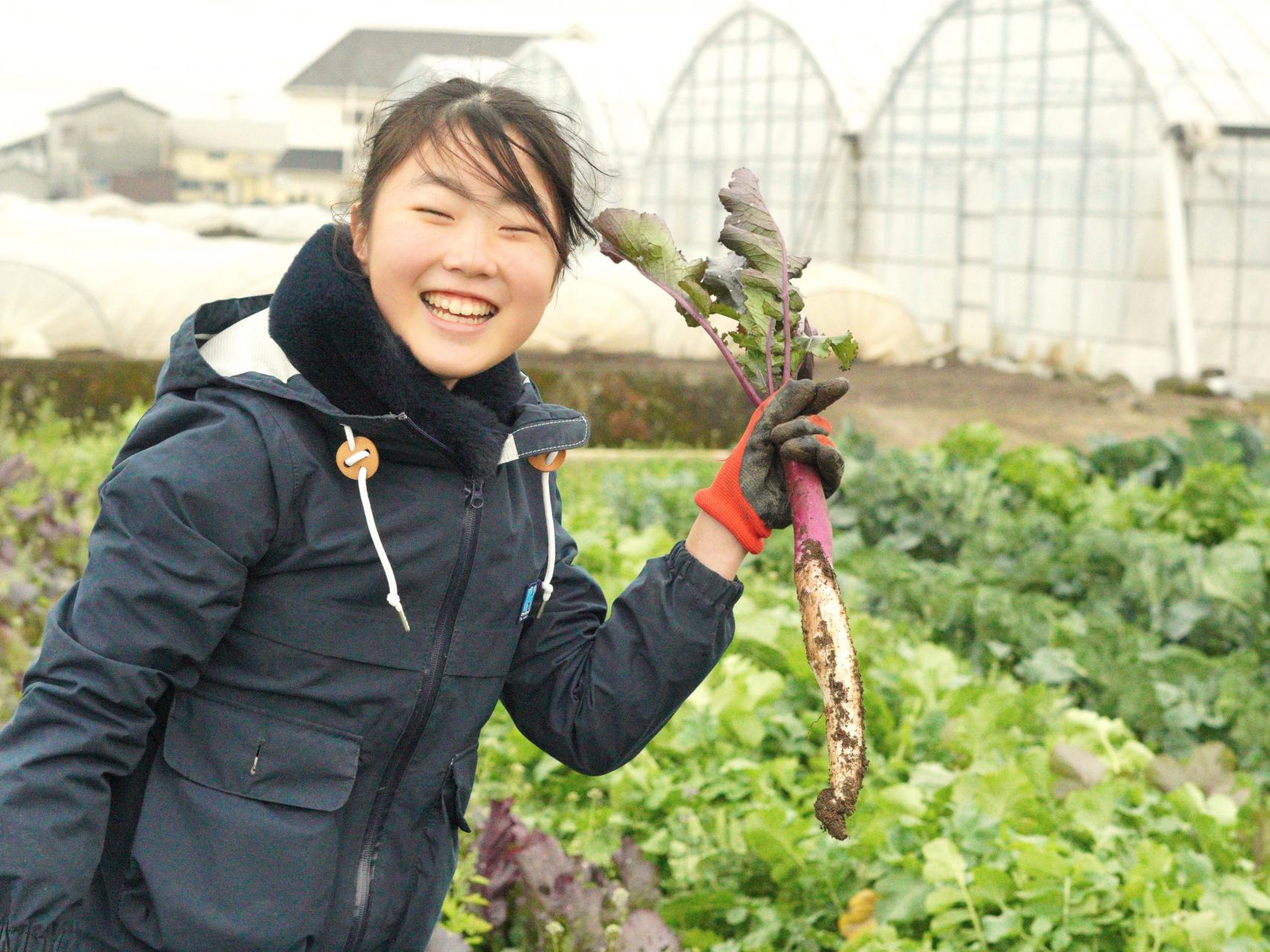 収穫だけじゃない、食と種を学ぶ体験の場-0