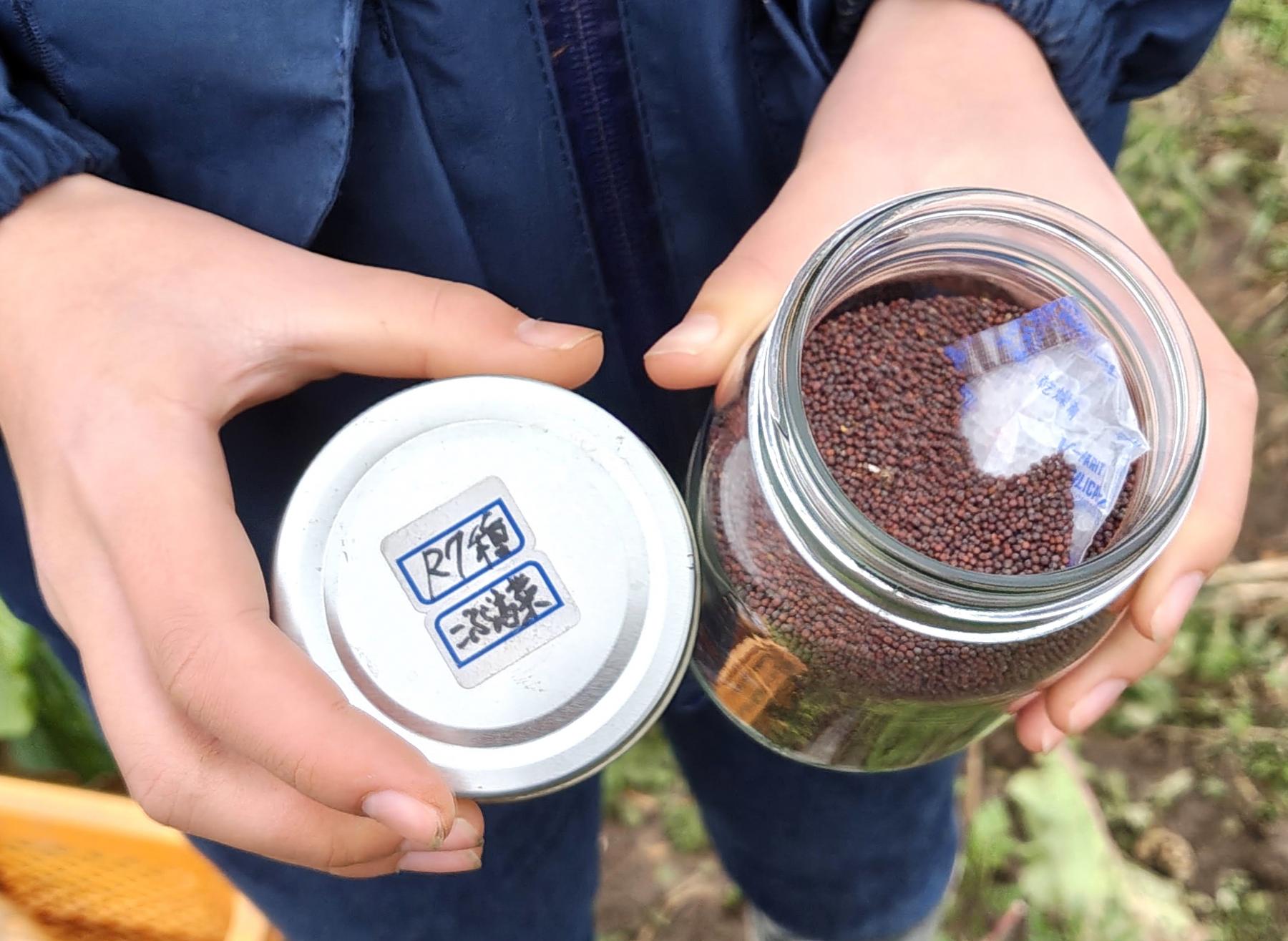 知ってほしい。種のこと、伝統野菜のこと-0