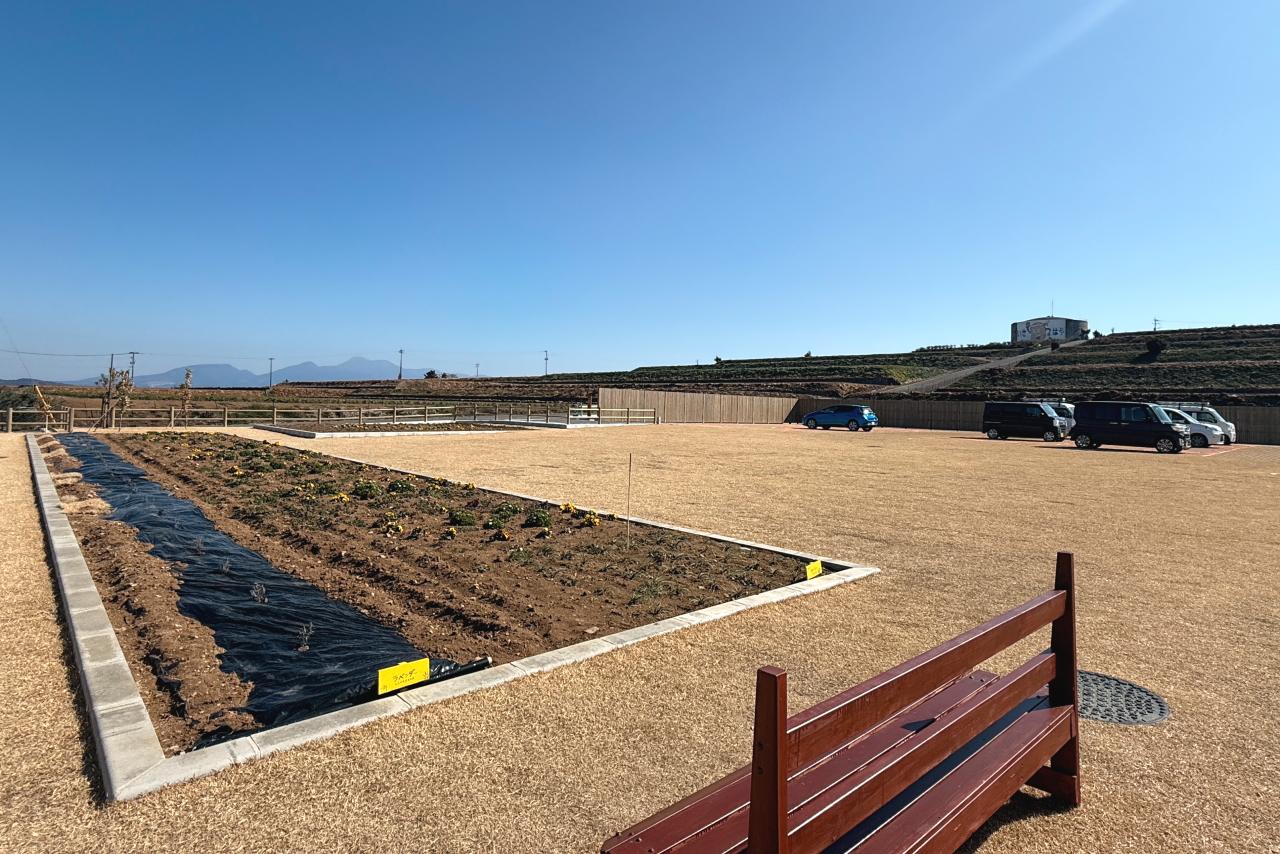 憩いの屋外スペース　【軒下広場＆芝生広場】-2