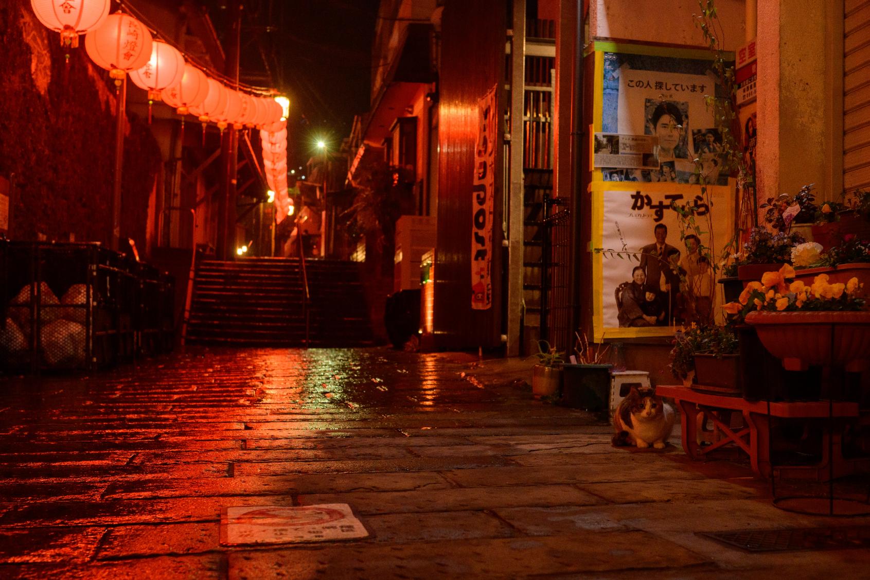 【唐人屋敷おすすめ撮影スポット４選】②土神堂横の石畳道（唐人屋敷中通り）-0