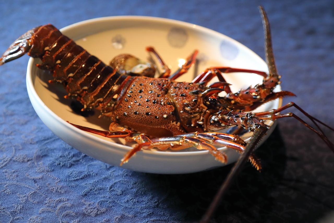 大迫力！調理前の伊勢海老を見せてもらいました！-0