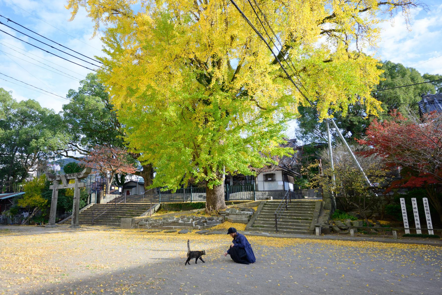 ５．大徳寺公園-1