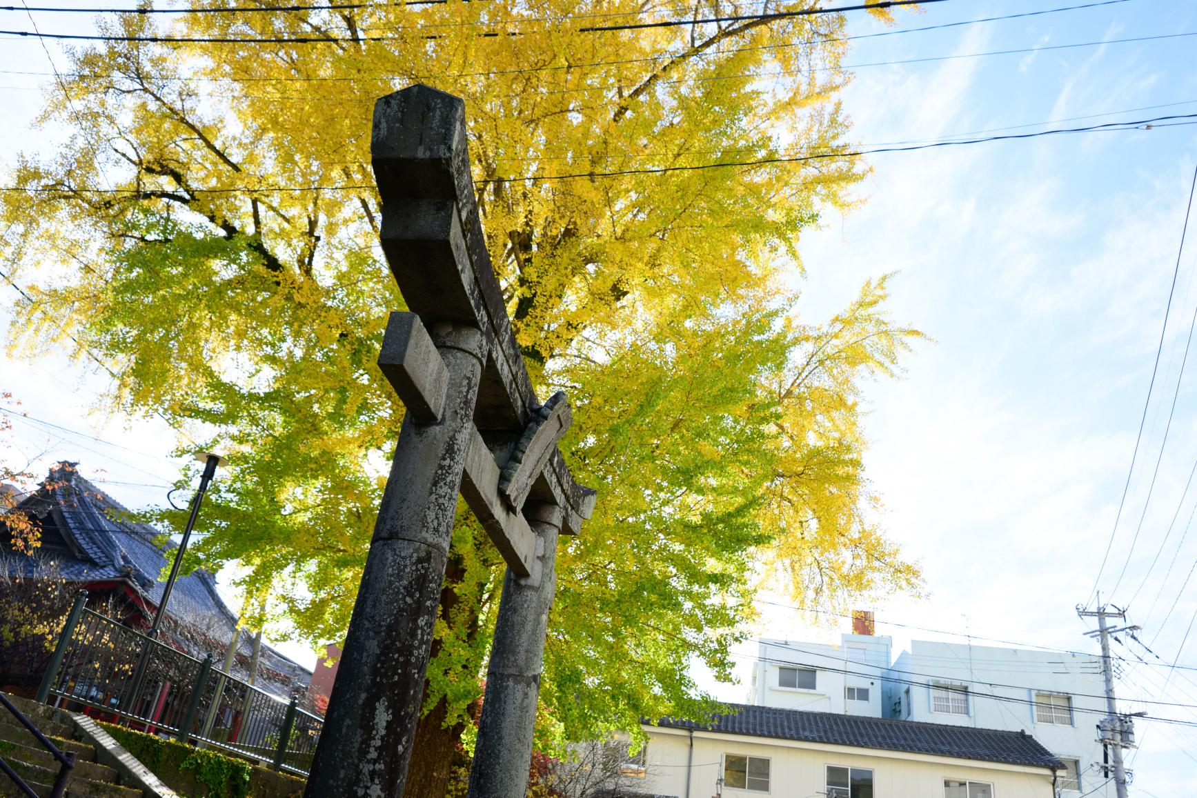 ５．大徳寺公園-3