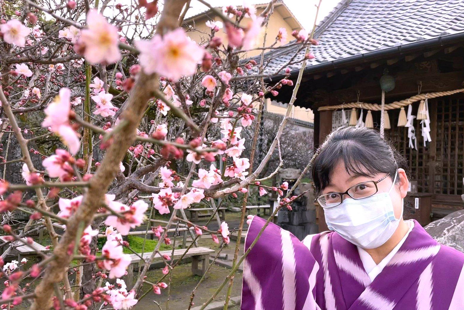 長崎市 丸山 梅園身代り天満宮の梅が見頃！ 「長崎ぶらぶら節」の舞台を訪ねて-1