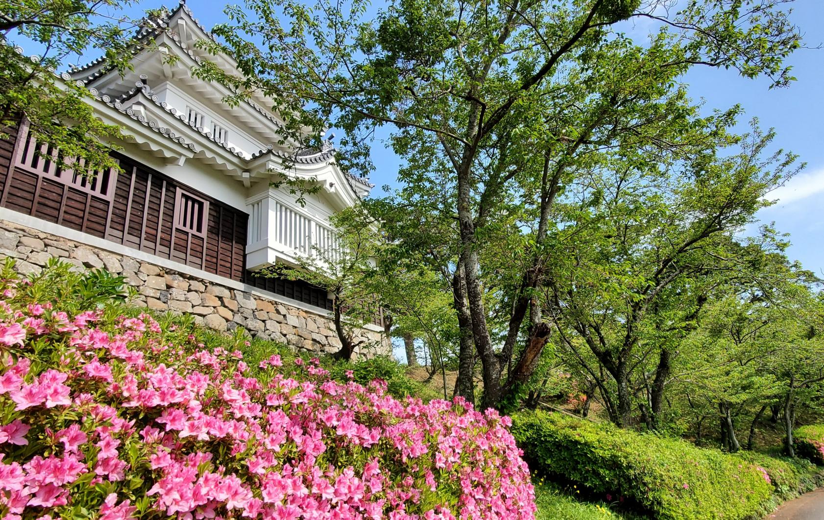 平戸城・亀岡神社　ヒラドツツジと二度咲き桜-1