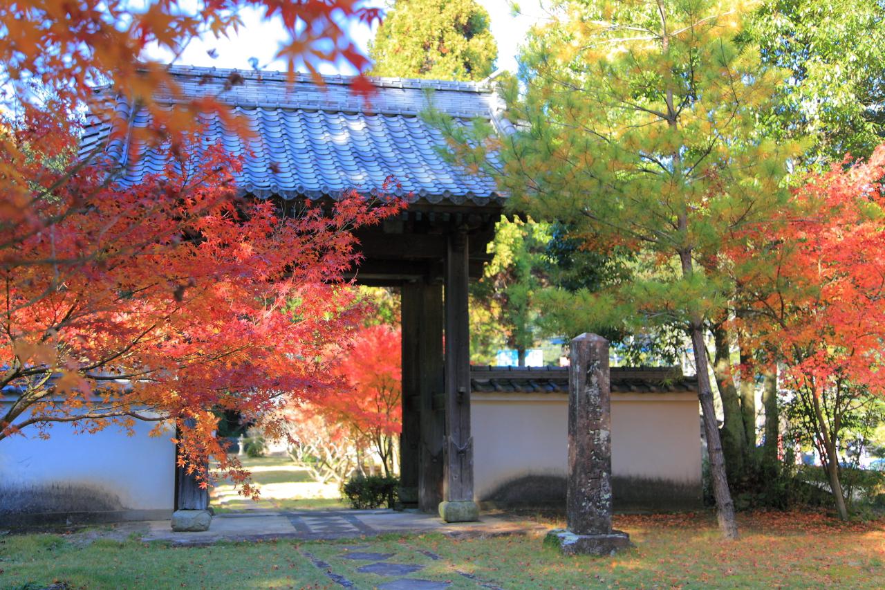 季節の移り変わりも楽しみ!趣のある景色に癒される諫早さんぽ-1