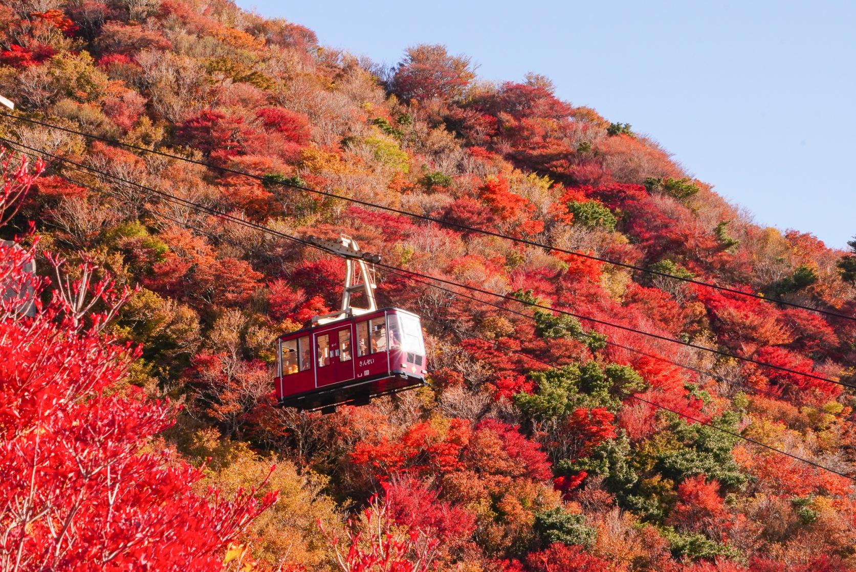 九州屈指の紅葉名所！色づく秋の絶景を雲仙で-1