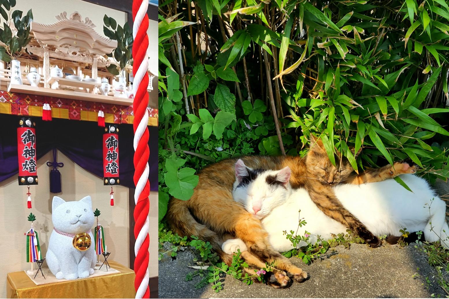 猫の日2022　長崎県ならではの猫グッズからユニークな猫神社までをご紹介！-1