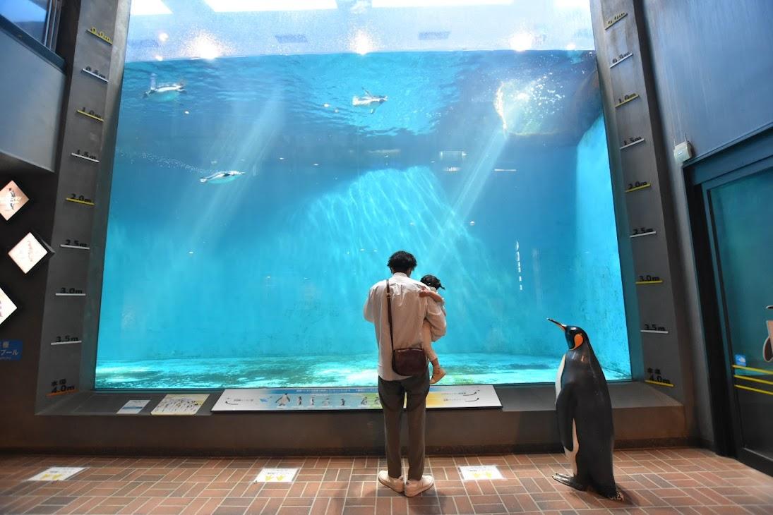 「世界一」長崎ペンギン水族館!小さな子どもの水族館デビューにもおすすめ◎-1