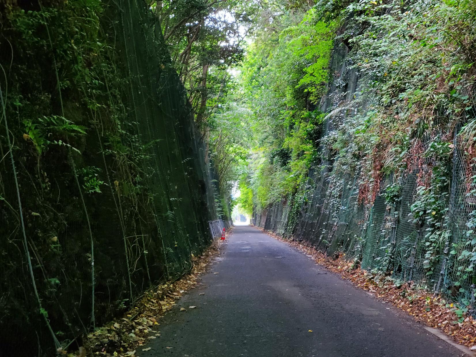 旧小浜鉄道の廃線跡をゆく(前編)-1