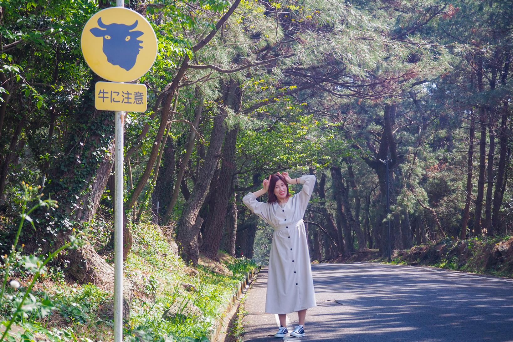 【小値賀島で映え&チル旅】オフシーズンでも楽しめる♥ここを抑えとけば間違いなしなスポット9選!-1