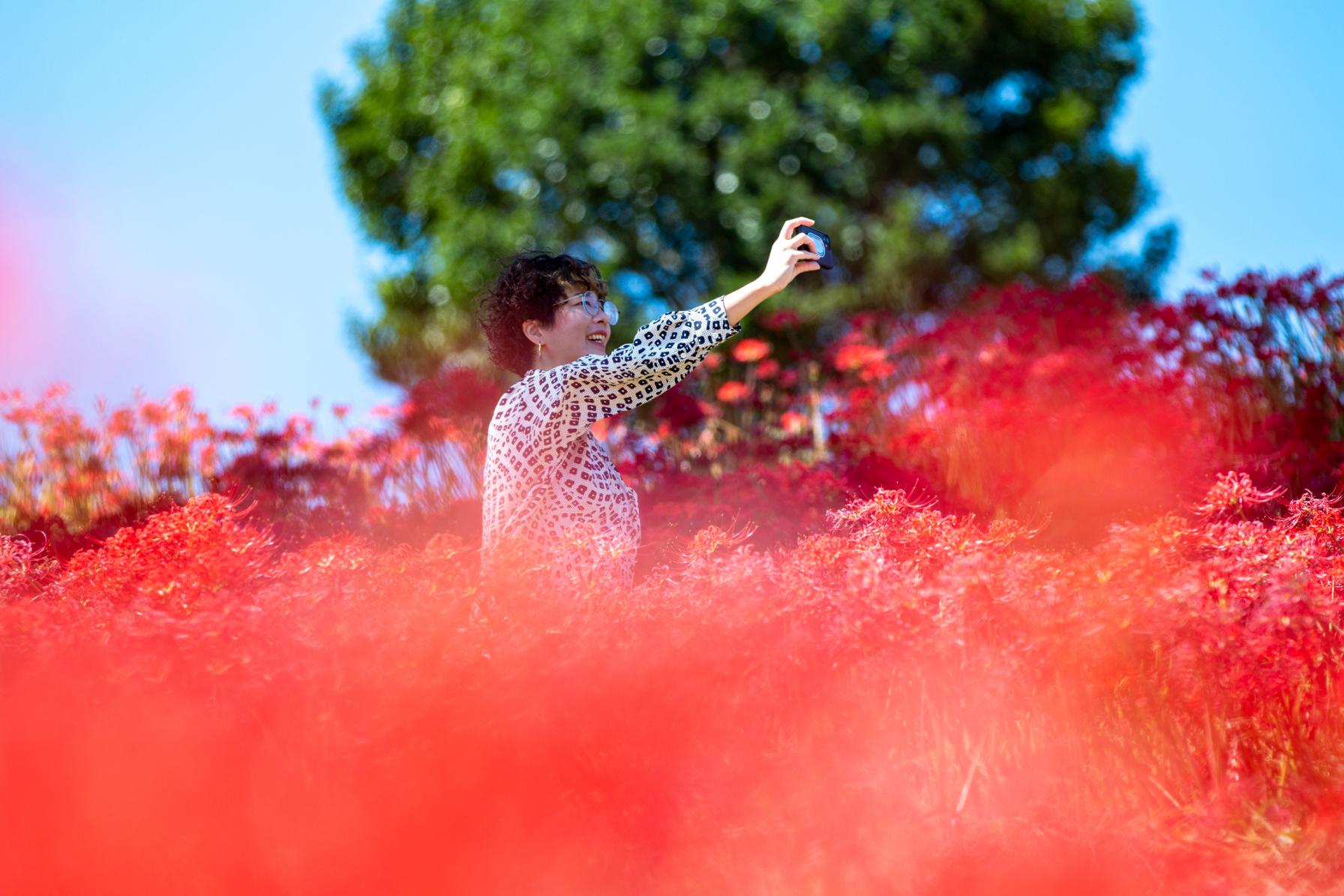 長崎県の絶景お花畑】美しすぎるお花スポット12選！花の名所を一年分お