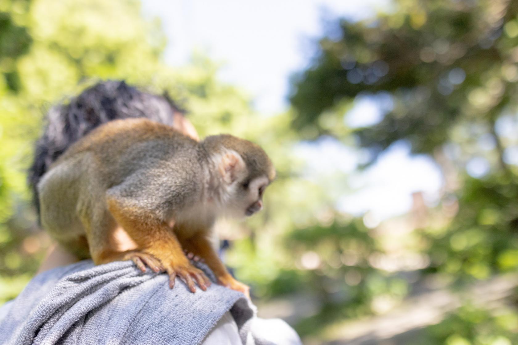 今話題の西彼（せいひ）エリア！新窯ピザや動物ふれあい体験など、おすすめスポットで遊び尽くそう！-1