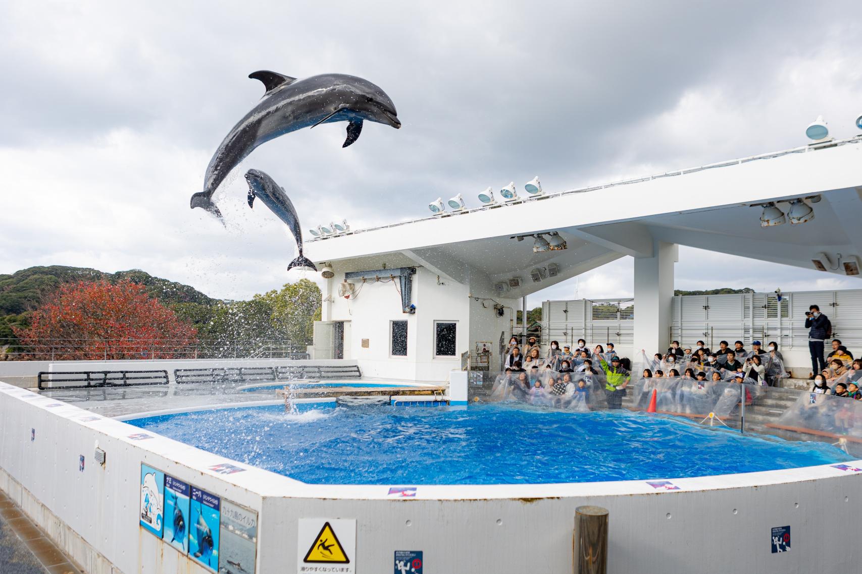 九十九島をまるっと楽しむ1泊2日の旅。絶品グルメと地域密着型の水族館をご紹介！【後編】-1