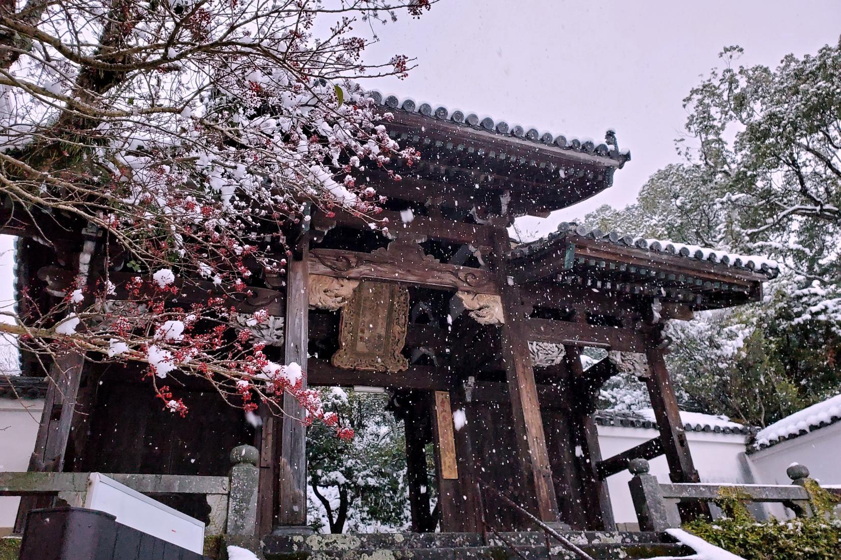 大雪の長崎　聖福寺-1