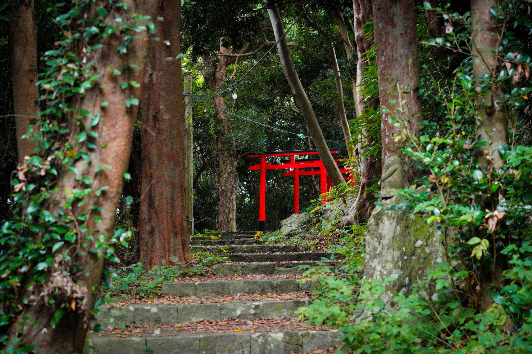 【壱岐のパワースポット】日本神話の神々と出会う旅。神社巡りと森のカフェ-1