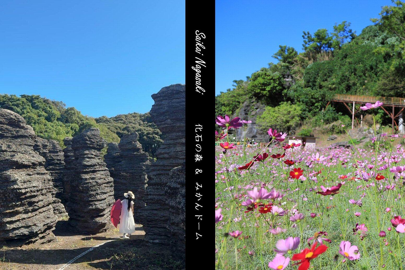 異世界探検！「化石の森」七ツ釜鍾乳洞のコスモスと生絞りみかんジュースで西海市の秋を満喫-1