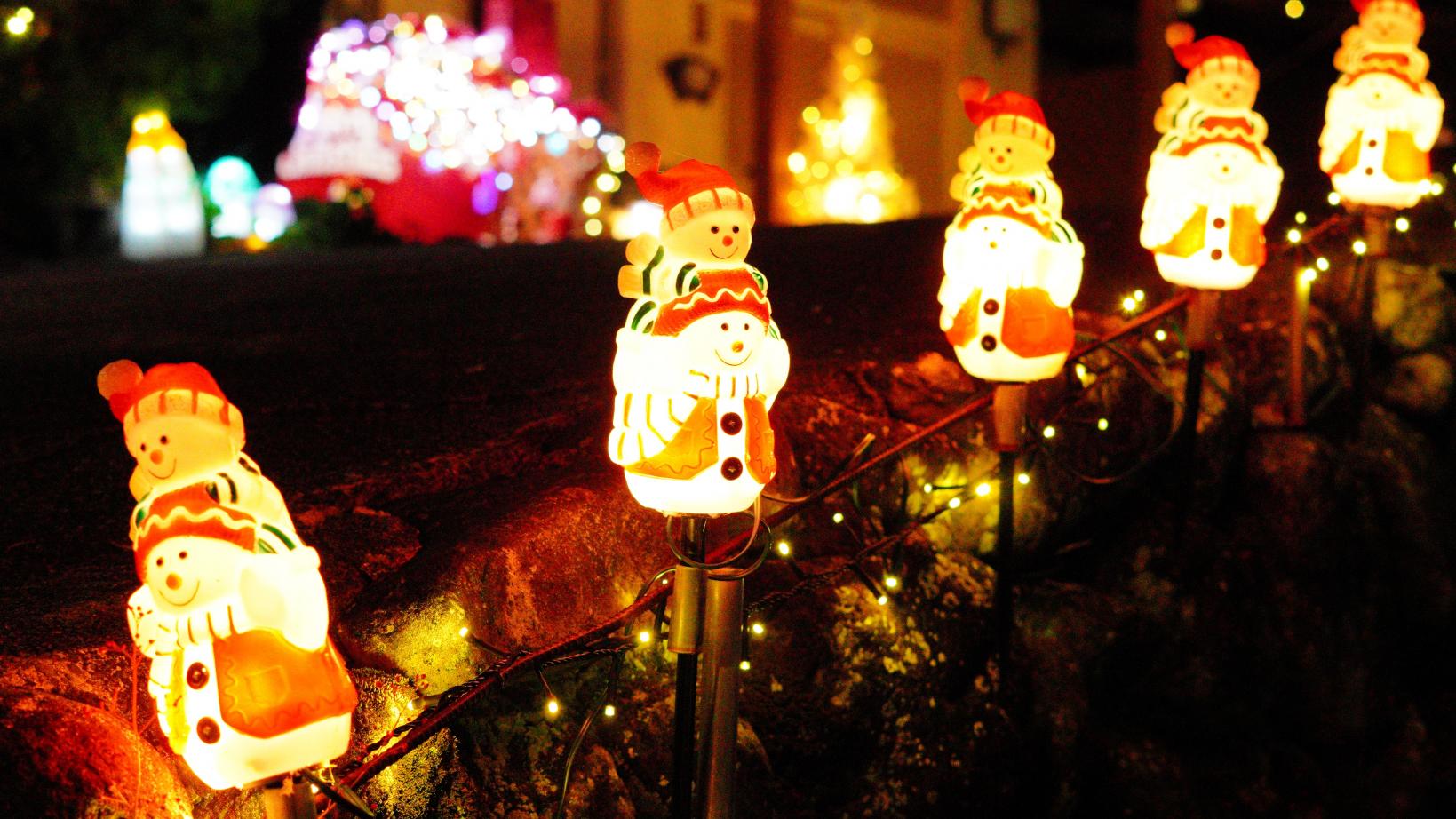 クリスマスシーズンに！「田下しあわせイルミネーション」を見に行こう！-1