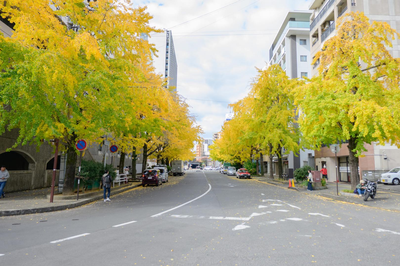 長崎市内のイチョウ並木｜見頃・アクセス・路面電車で行けるおすすめスポット-1