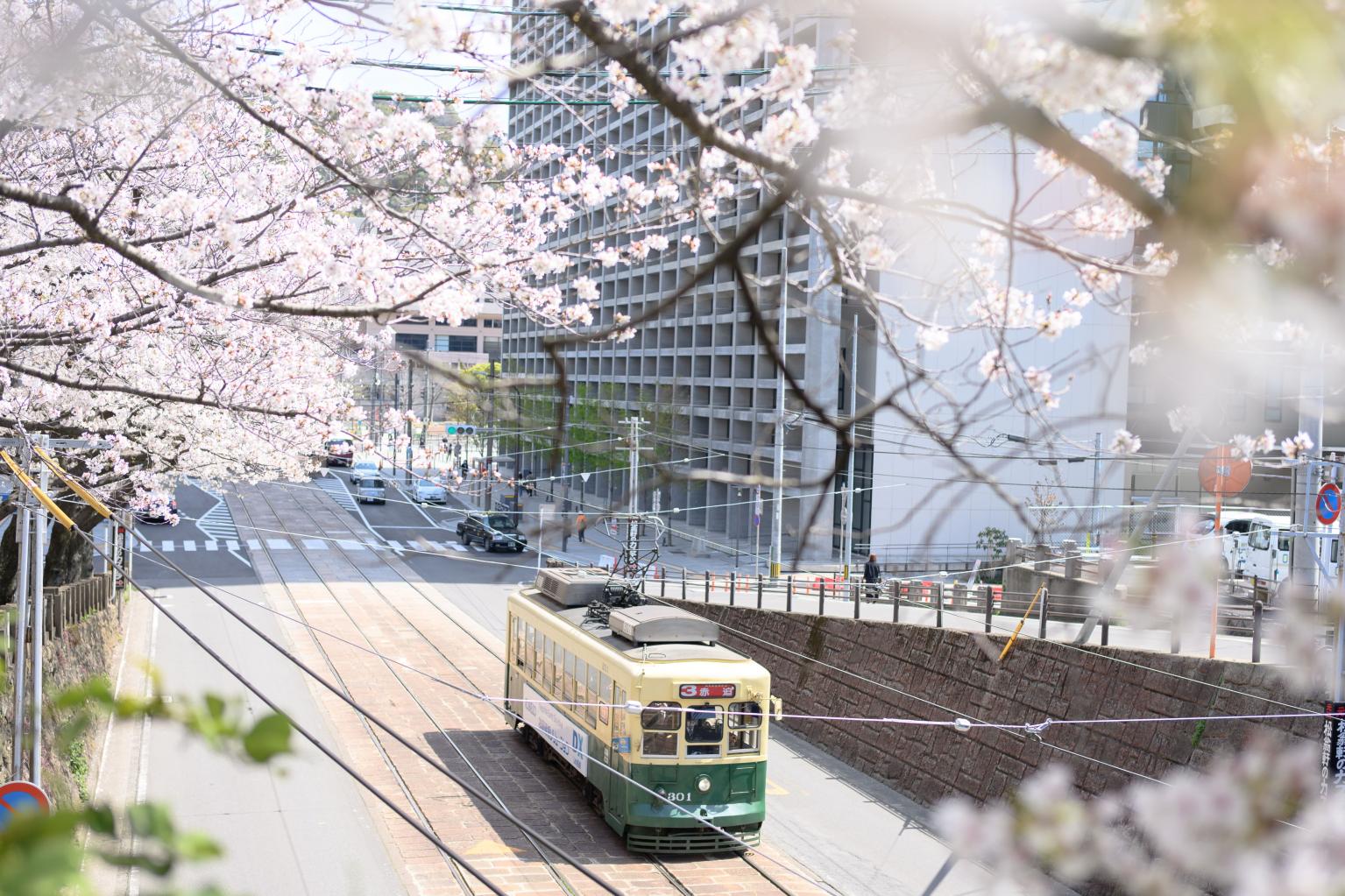 長崎の路面電車を撮るならココ！地元フォトグラファーのお気に入りの撮影スポット3選-1