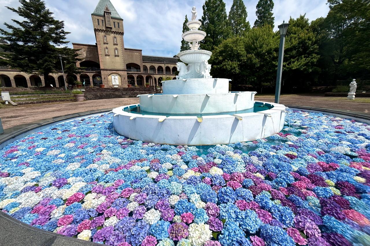 長崎の巨大花手水【山茶花高原ピクニックパーク・ハーブ園】アジサイと