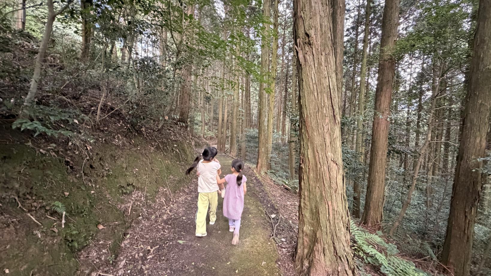 家族5人で約1.3万円で泊まれる！遊びも充実「ながさき県民の森」で子連れバンガローキャンプ泊を満喫♪-1