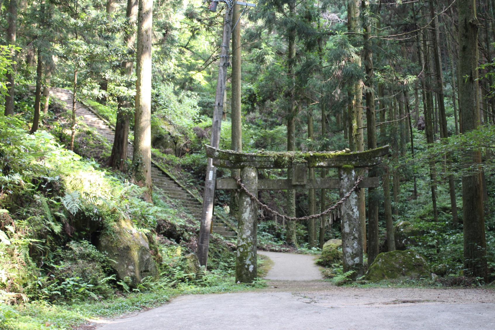 もののけ姫の世界？「岩戸神社」-1