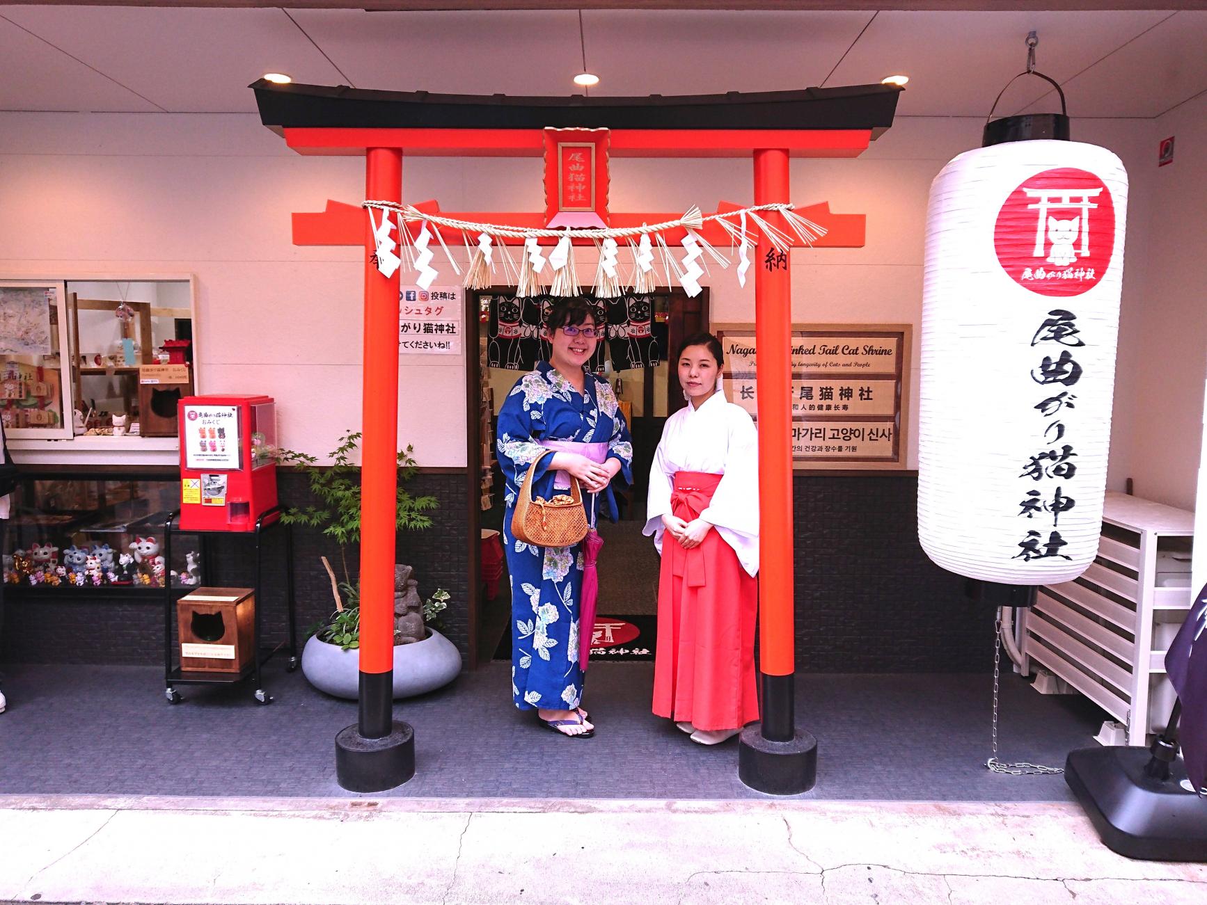 長崎 尾曲がり猫神社-1