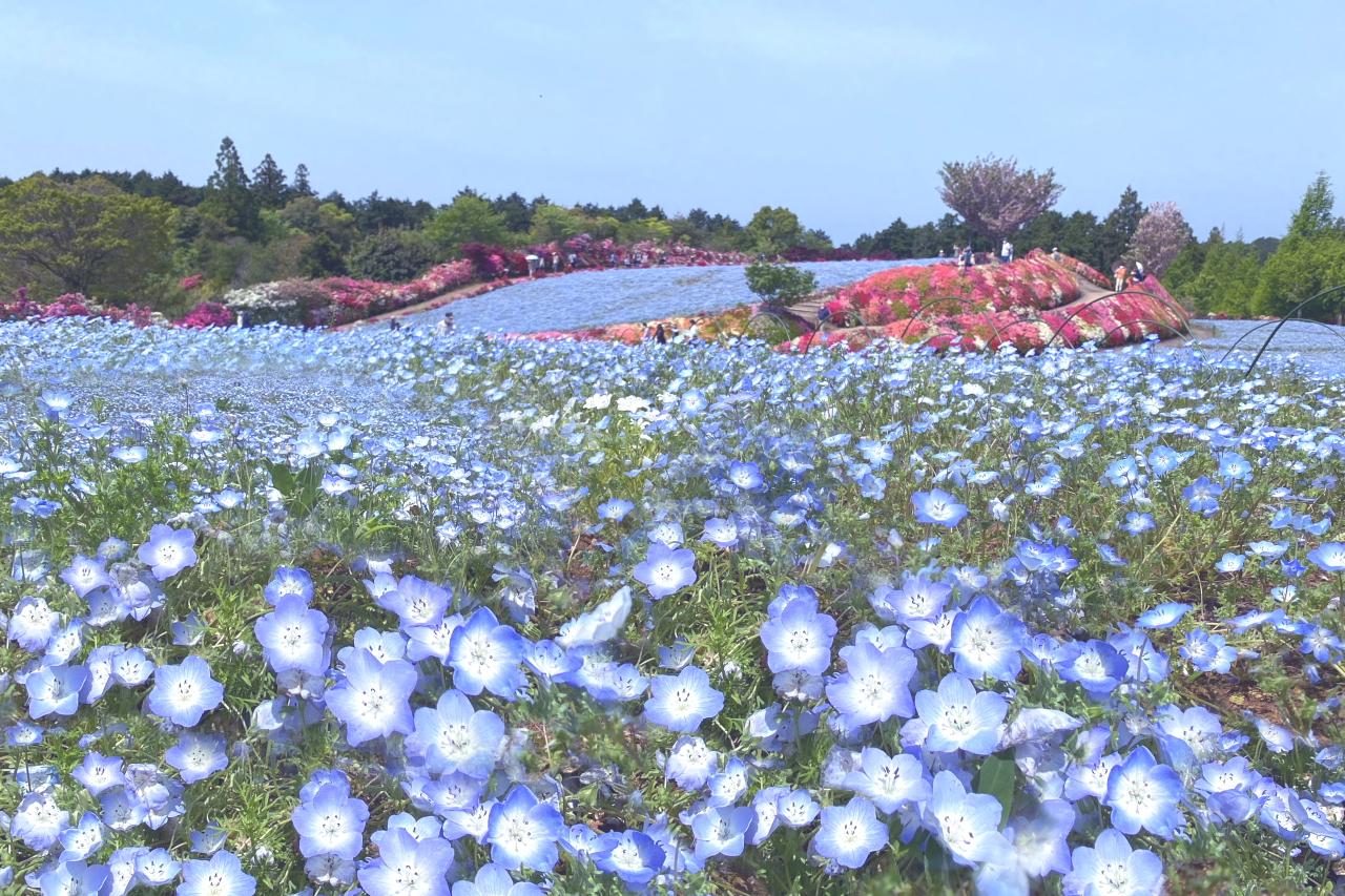 わたしがえらぶ長崎のお気に入り Tabi Note-2