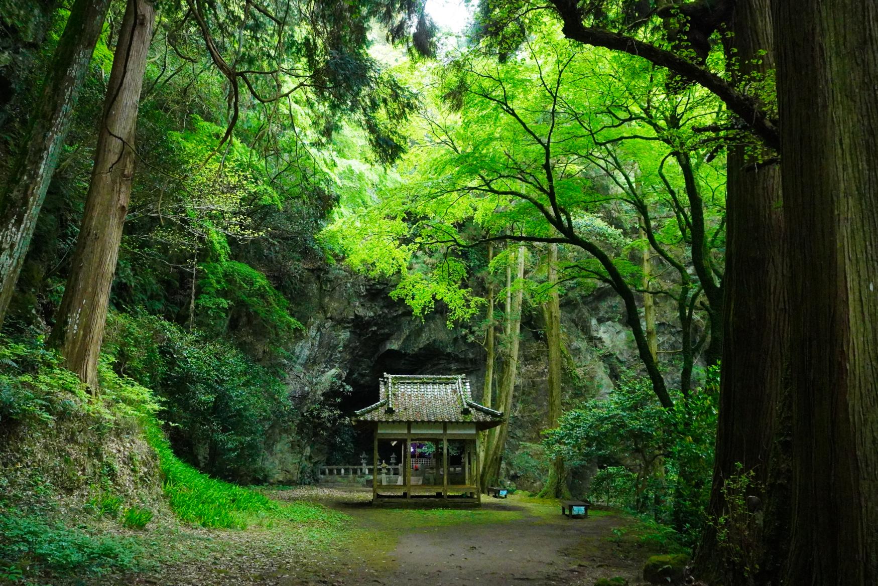 まるでジブリの世界・長崎県の神秘的なパワースポット、岩戸神社-1