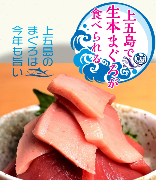 まぐろフェア開催のお知らせ-1