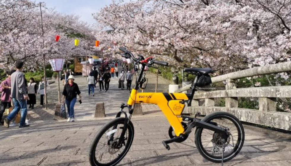 【絶景e-bikeツアー】ガイドと行く！橘ベイエリア お花見サイクリング-1