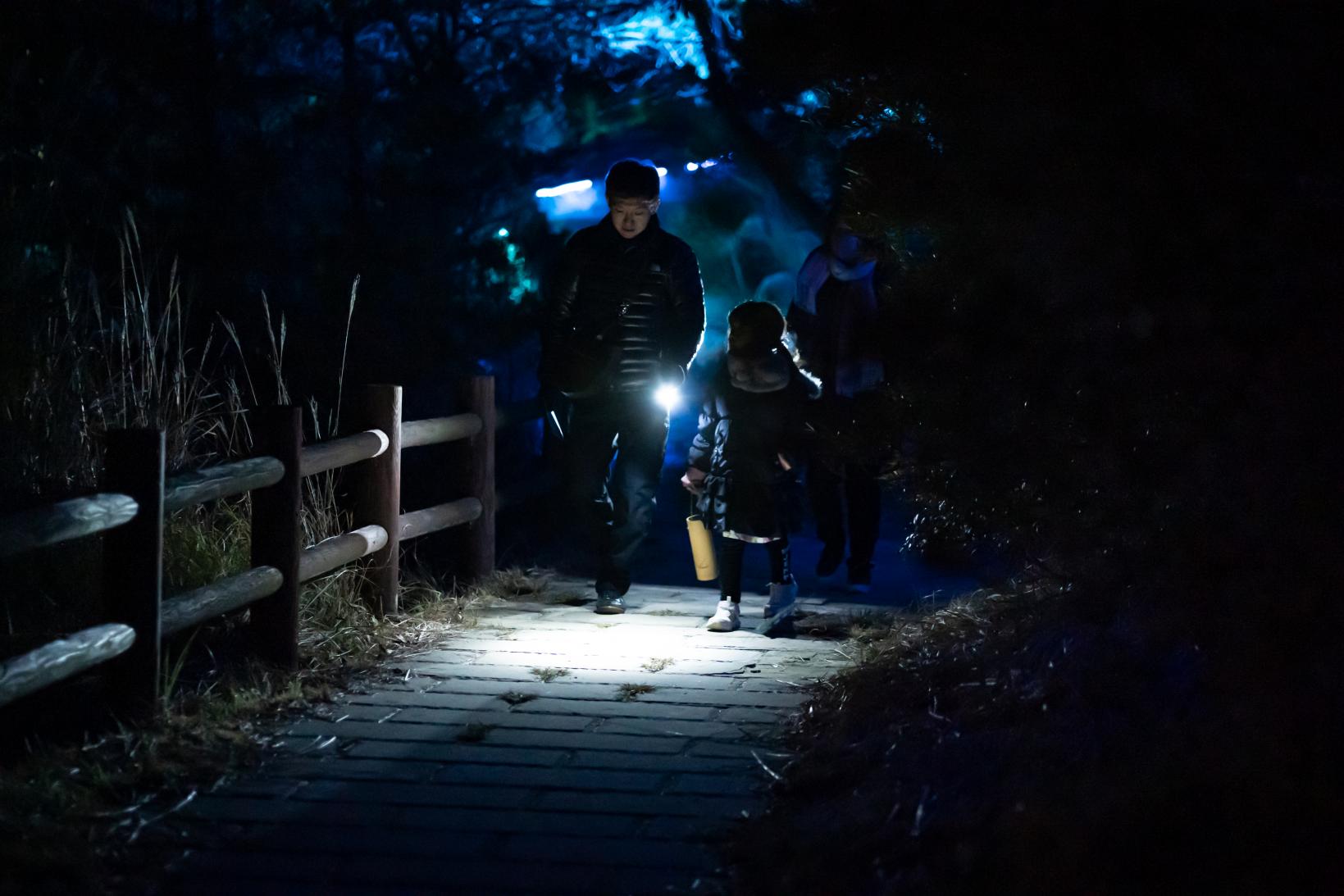 雲仙ボルケーノナイトウォーク２０２６開催中！（5/31まで）-2