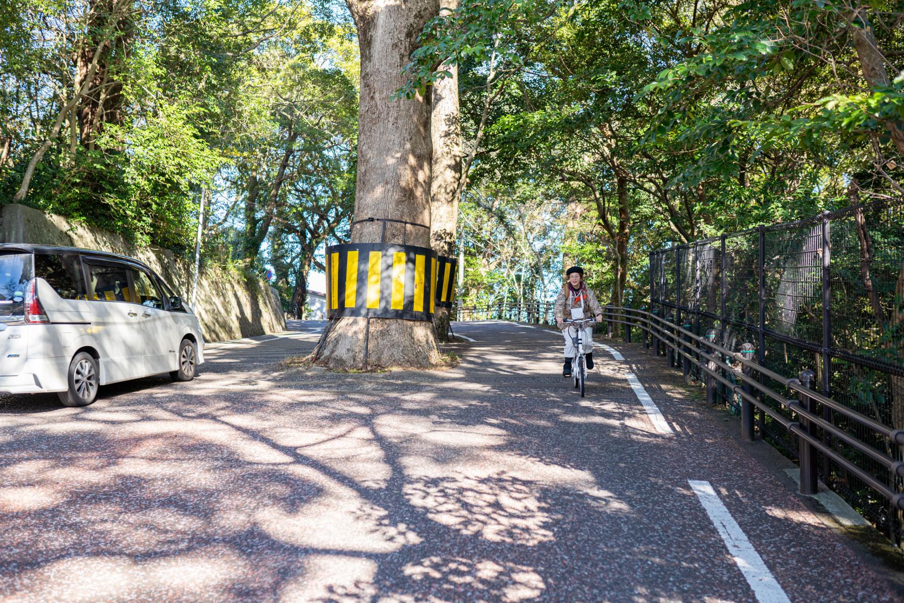 長崎観光を自転車で！e-bike＆チェキレンタルで坂のまち・長崎いいとこ“撮り”！フォトツアー-3