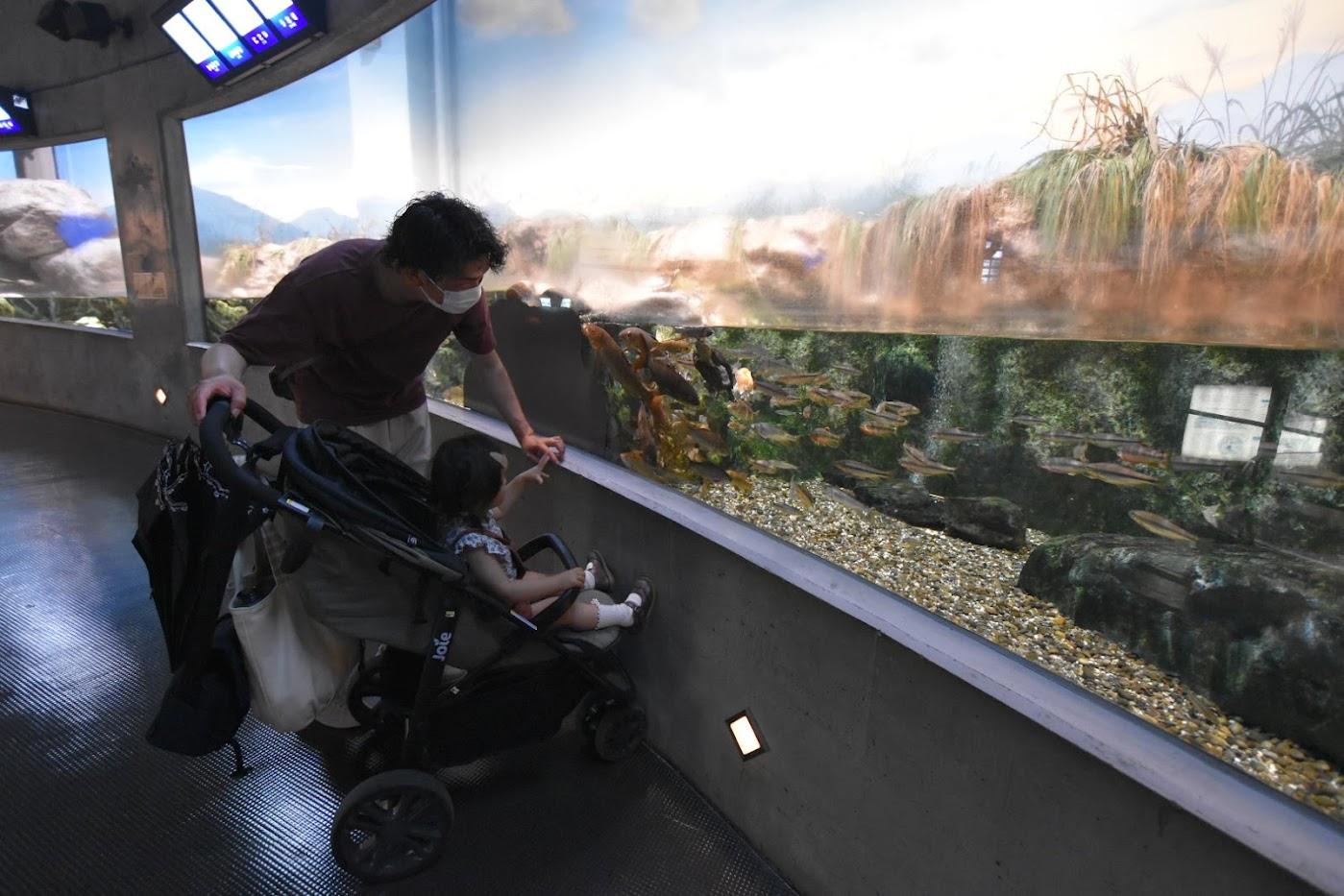 夏休みのお出かけにおすすめ。動物とのふれあい体験に水族館も！子どもが１日遊べる諫早の「干拓の里」へ-2