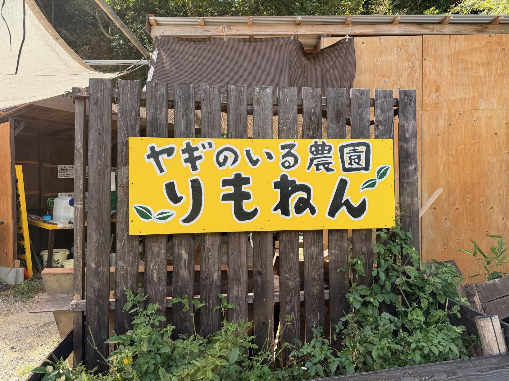 ヤギのいる農園りもねん-1