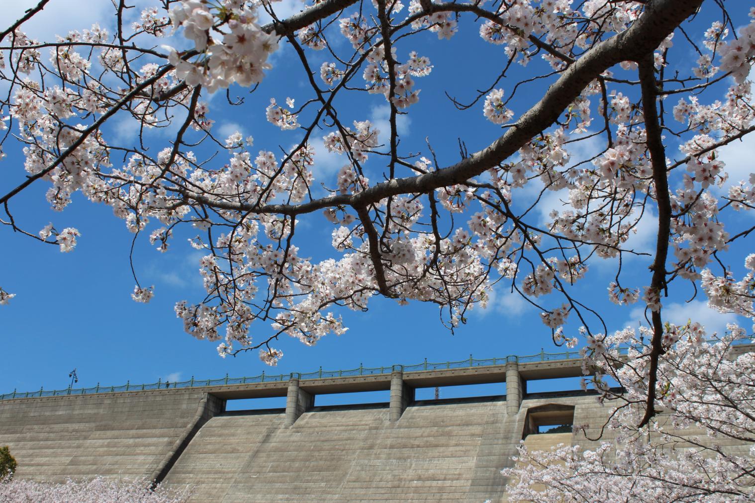 西山ダム公園-1