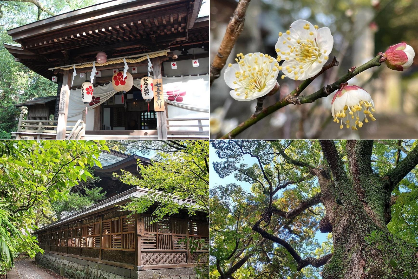 【関連記事】長崎の合格祈願・学業成就のパワースポット「松森天満宮」 -1