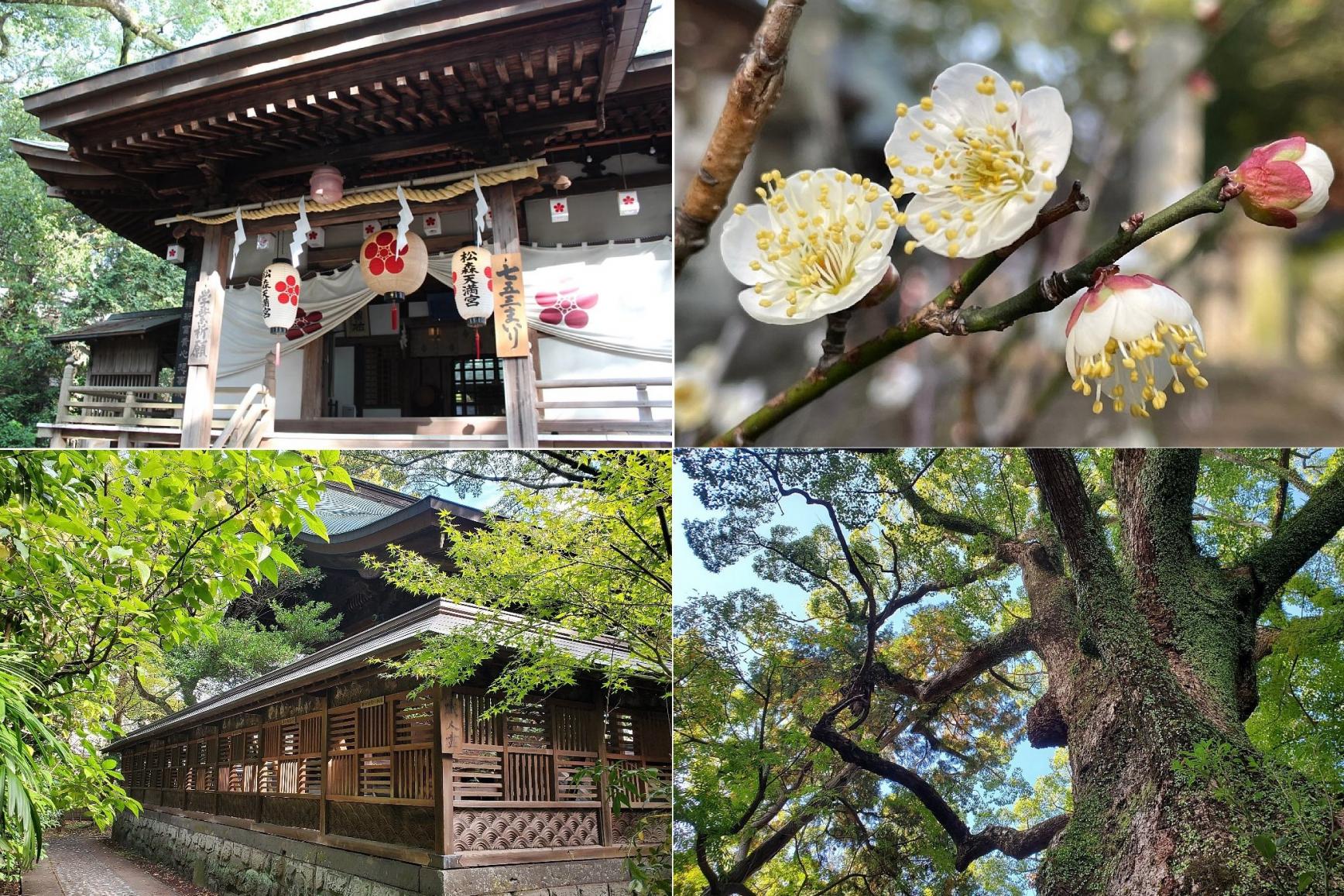 【関連記事】長崎の合格祈願・学業成就のパワースポット「松森天満宮」　-1