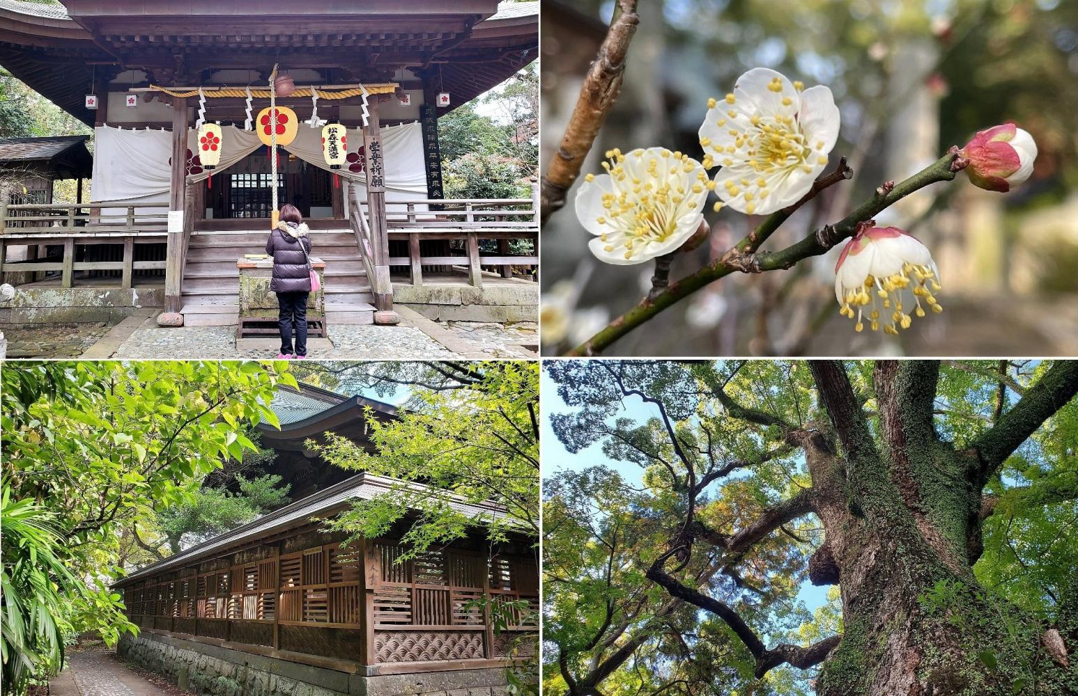 【関連記事】長崎の合格祈願・学業成就のパワースポット「松森天満宮」　-1