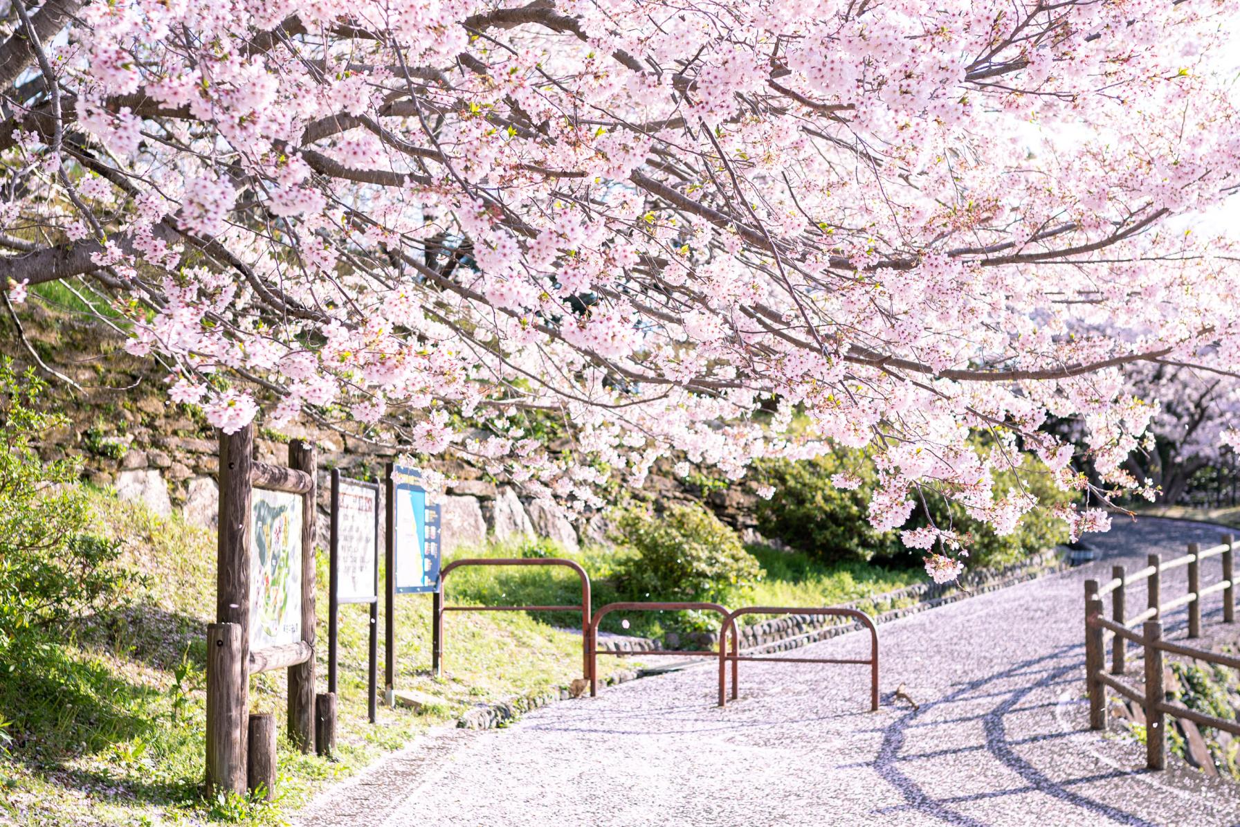 琴海中央公園の駐車場情報-1